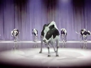 2010 Dancing Cow