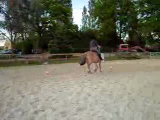 Pilou slalom trot