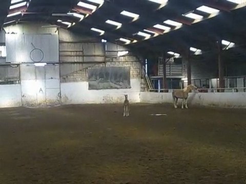 1 mois 3 jours de vie de spirit