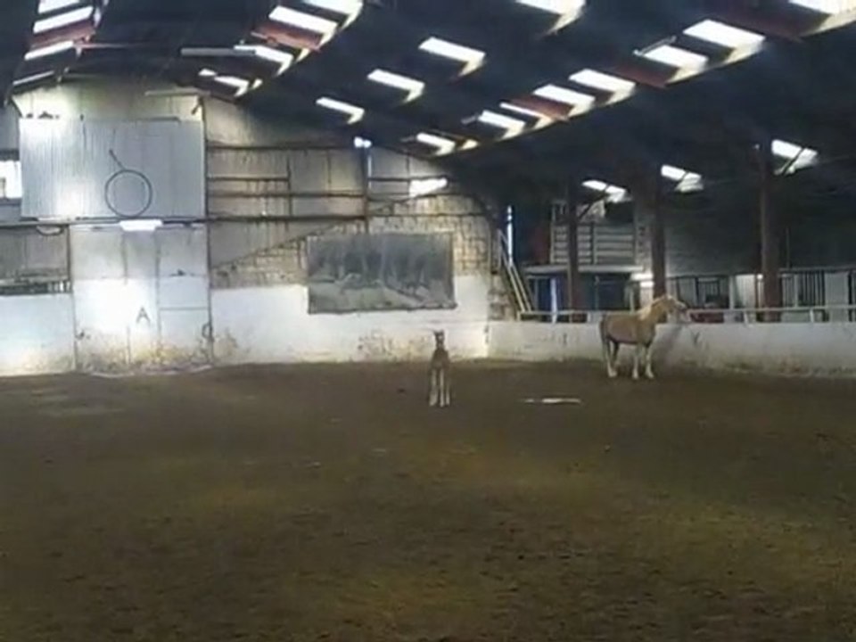 1 mois 3 jours de vie de spirit