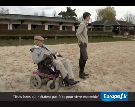 Les chevaux sont des spectateurs