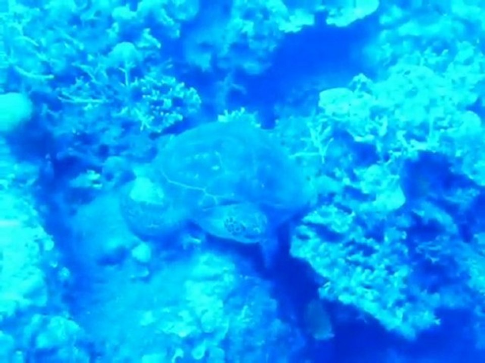 Philippines sous l'eau