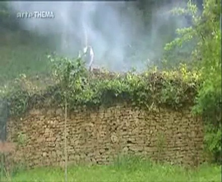Pauvre malgré le job - partie 2