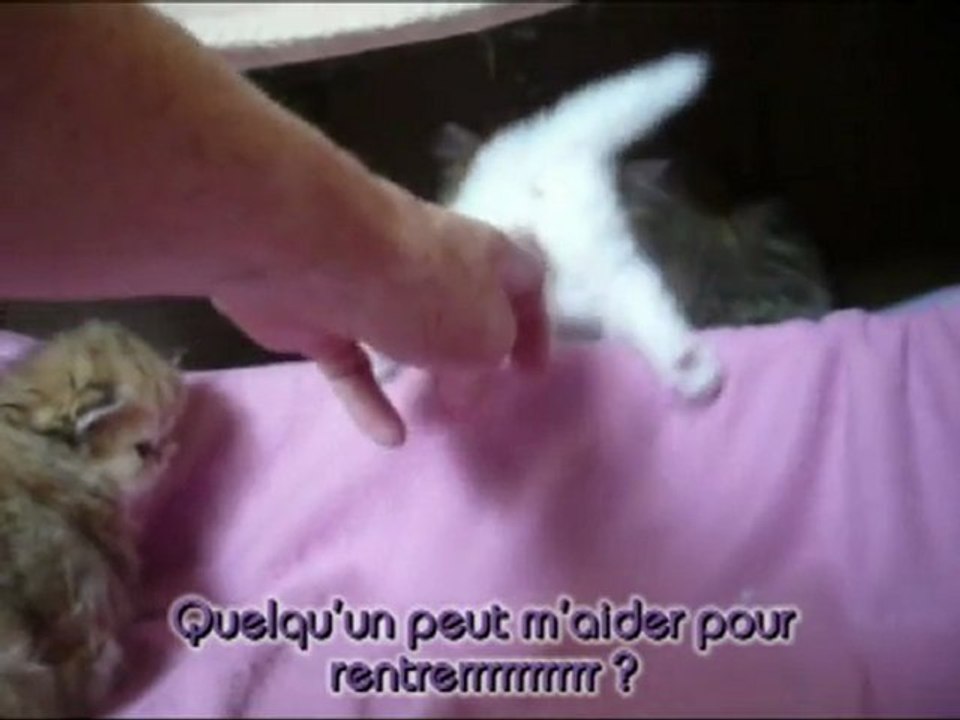 2010-bb-Vladye-06.05.2010