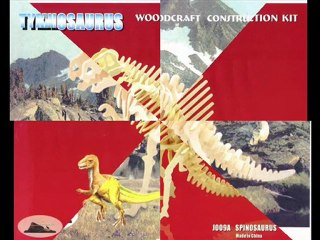 Wooden 3D Puzzle Brain Teasers