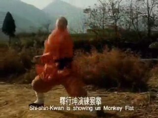 serpent mante religieuse singe aigle