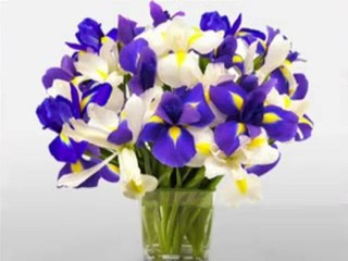 Mothers Day Flowers Memphis Tennessee