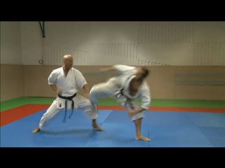karate shotokan