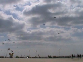 Démonstration de Vortex aux 24émes RICV de Berck 2010