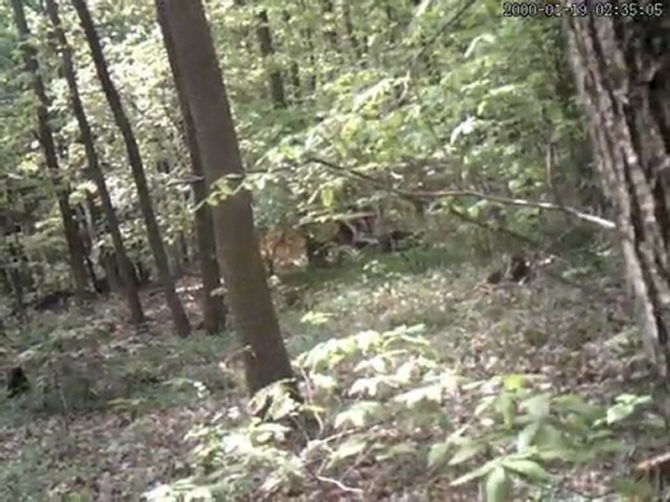 airsoft LGA93 op du 6 mai