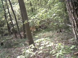 airsoft LGA93 op du 6 mai