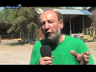 Prés du Ried : Pour la défense des pâturages d'Alsace