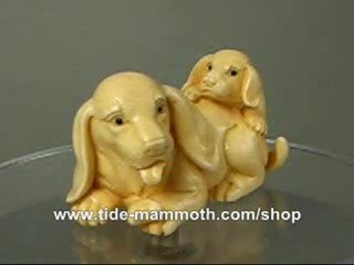 mammoth ivory netsuke Basset Hound Dog Carving N2995