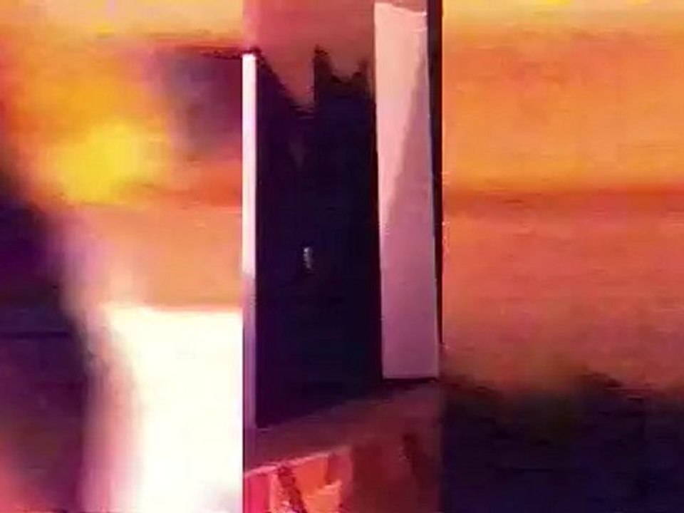Suki The Cat Inside Box (Dark Shadow) [HD]