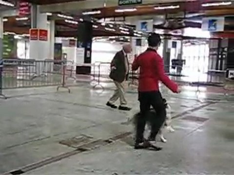 La confirmation d'Eiko des loups gris d'Occitanie