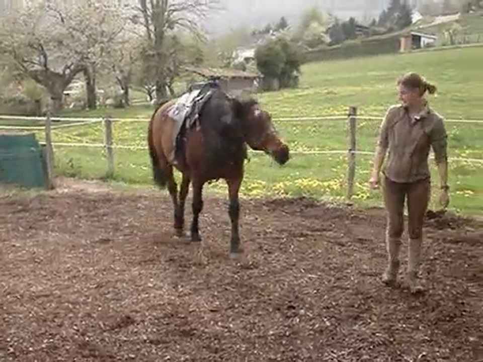 Ethologie du 23 Avril 2010