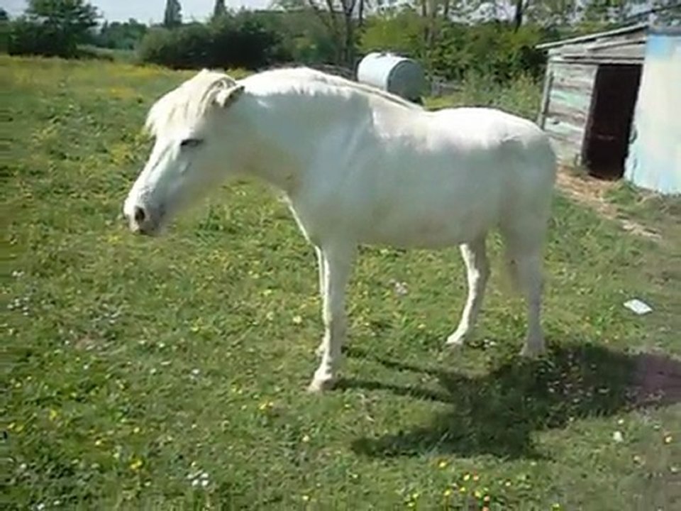 Viens ma Poupette, viens :D