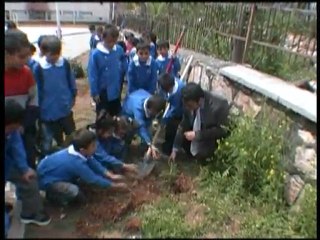 ÖRNEK YİBO DAN FİDAN DİKİMİ