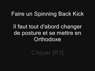 UFC 2010: Spinning Back Kick