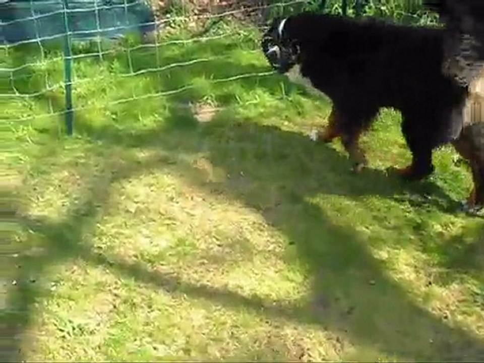 Eclypse; Mon gros nounours.