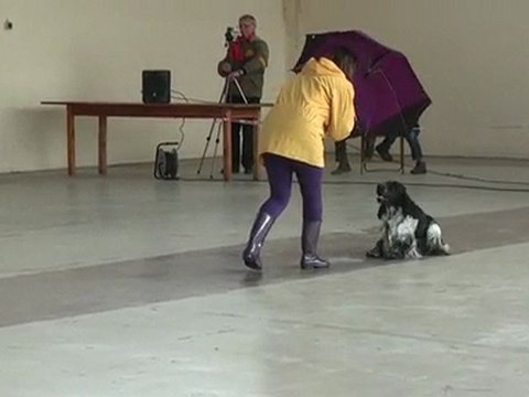 1er passage c'ven girlenhirsch obr