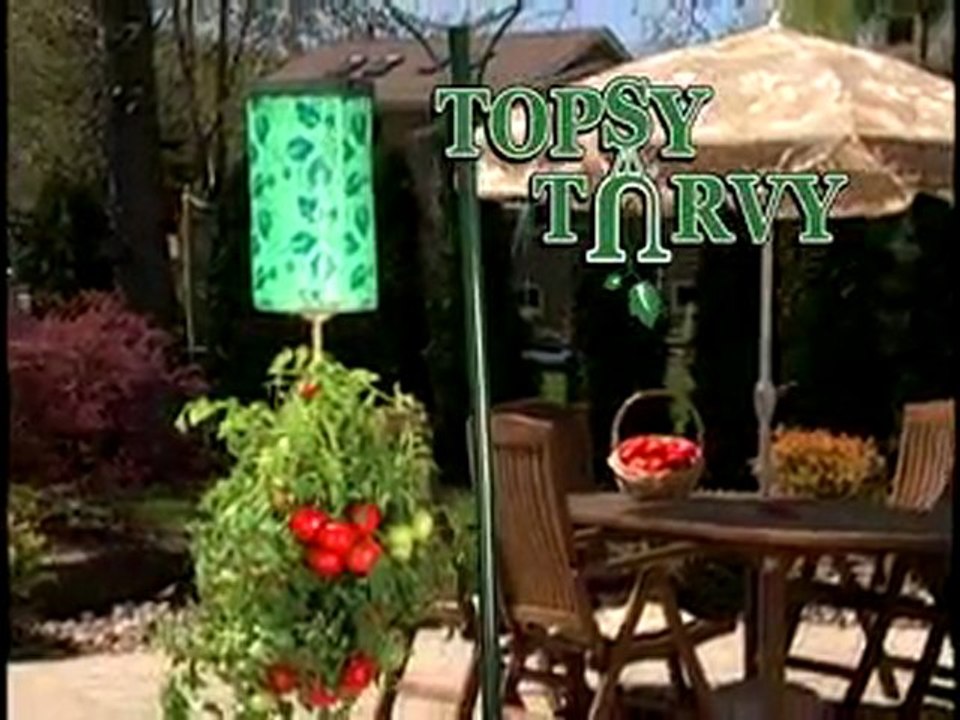 Fred Vanore Topsy Turvy Retail 15 Blue Moon Studios