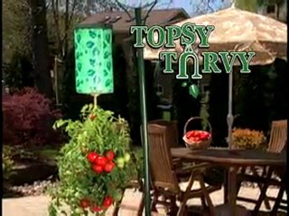 Fred Vanore Topsy Turvy Retail 15 Blue Moon Studios