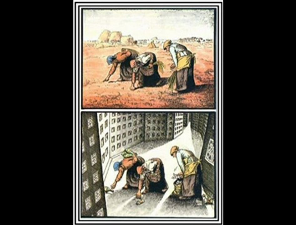 Ödüllü Karikatürler