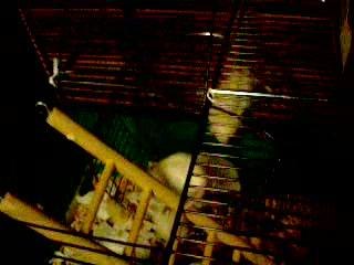 Comment gérer une portée en sortie