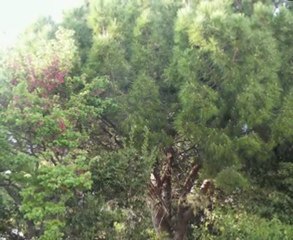 Les barricades sont les voix de  ceux qu'on entend pas