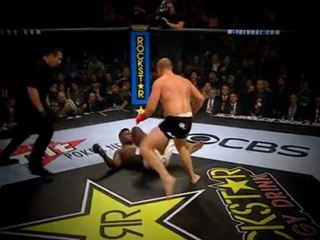 Fedor Fights Fabricio Werdum