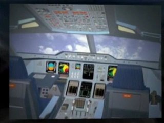Home Flight Sim