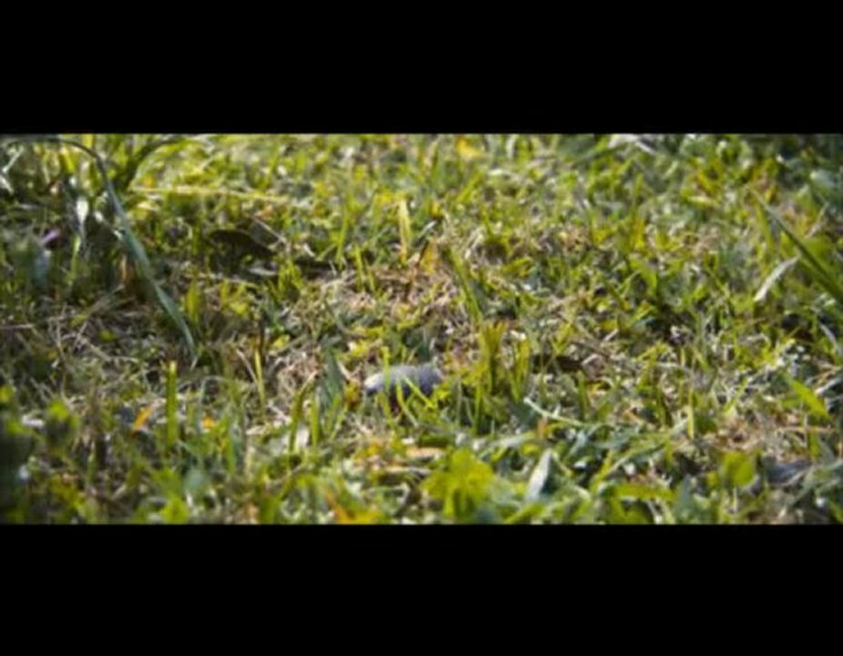 The Final Destination - Destination Finale 4 (2009)