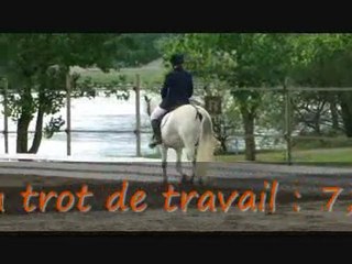 K en concours de dressage Club 3