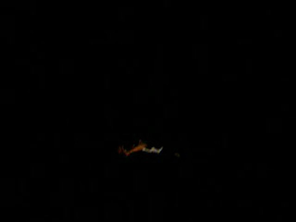 basilic béthune concert 7 mai 2010