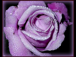 "music oriental" "Rahal Zoubir" "oum koultoum"