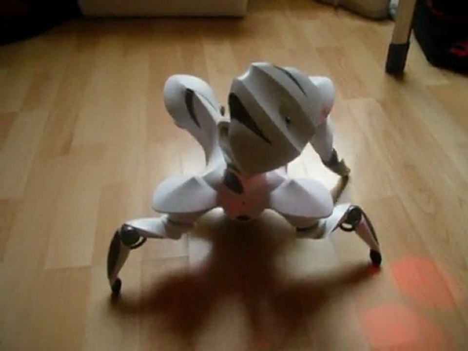 roboquad
