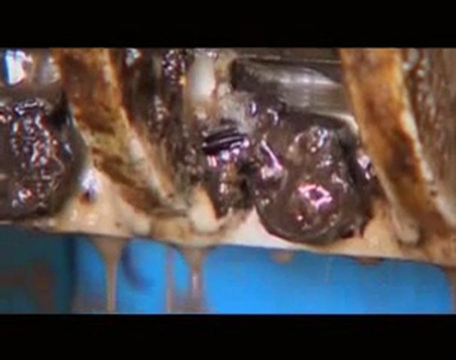 Huile Végétale Pure HVP