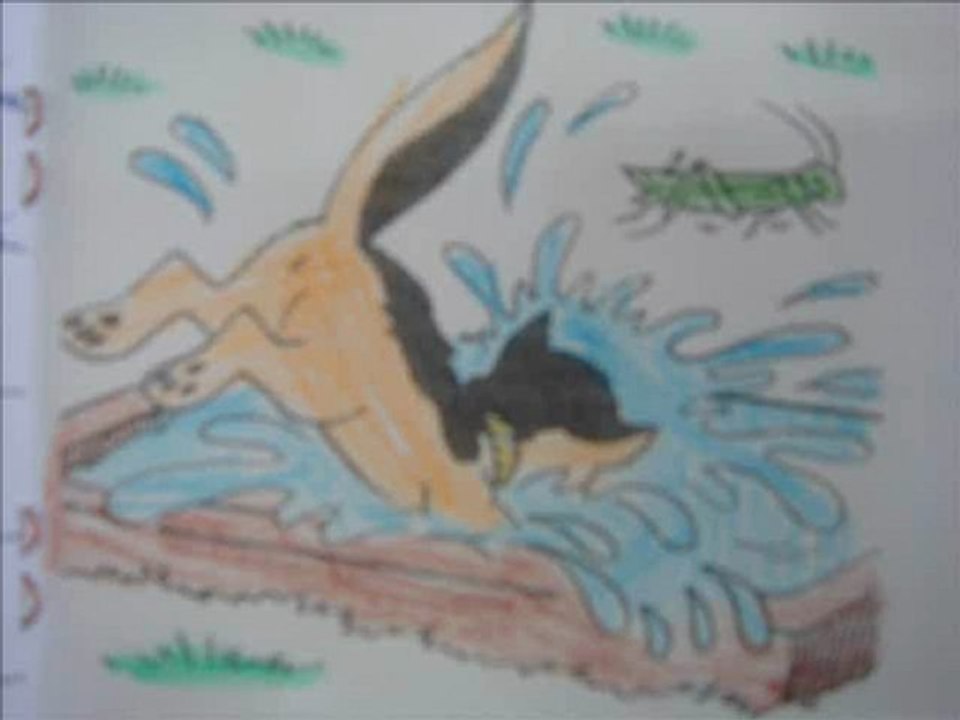 Le chat et la sauterelle William