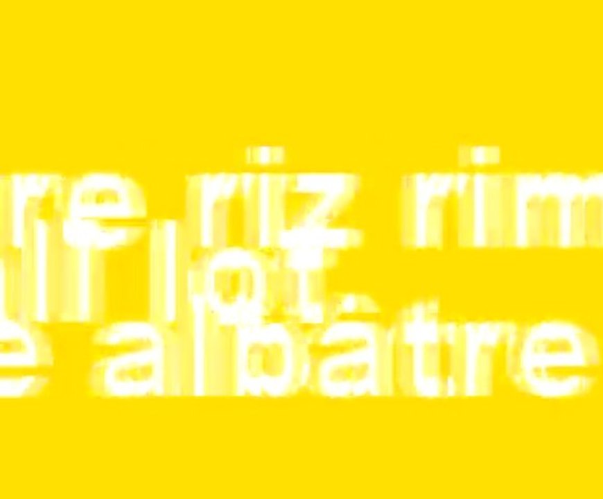 MILLEMOTSREMIX2010