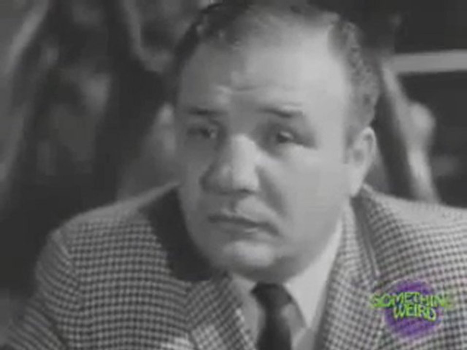 Confessions of a Psycho Cat