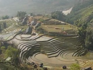 VIETNAM : rizières dans les montagnes de Sapa