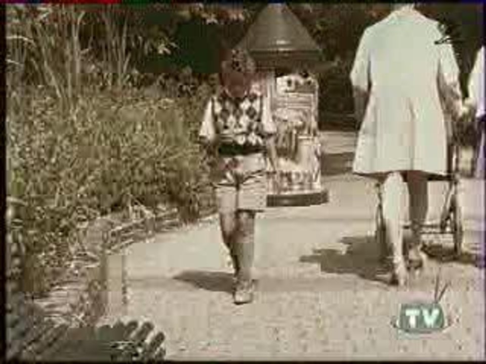 une mémoire d'éléphant