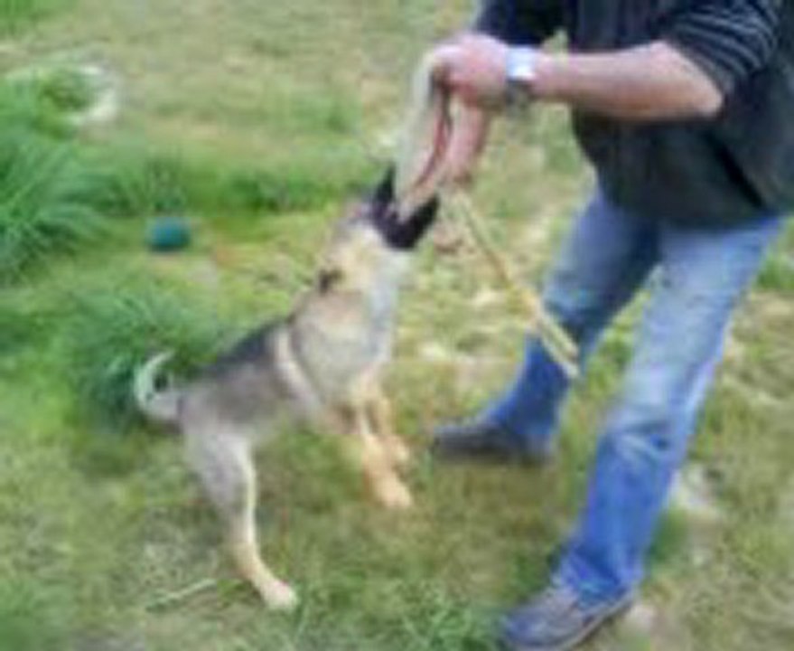 FALBALA du Domaine E-Toiles Filantes