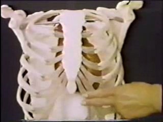 TYD - 02 Kalp Masaji Nereye Yapilir