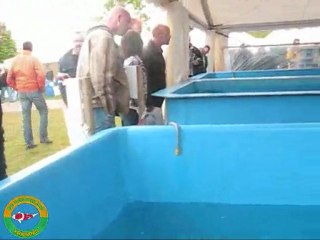 Appeltern  . KOI2000 deel 1