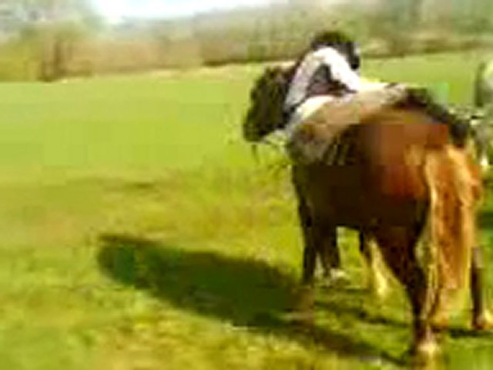 Marine veut monter sur rocco !!