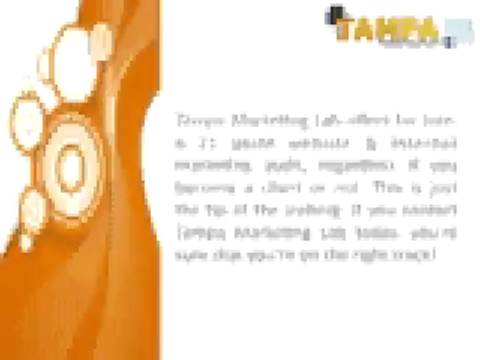 Online Business and Search Engine Marketing Tampa Area