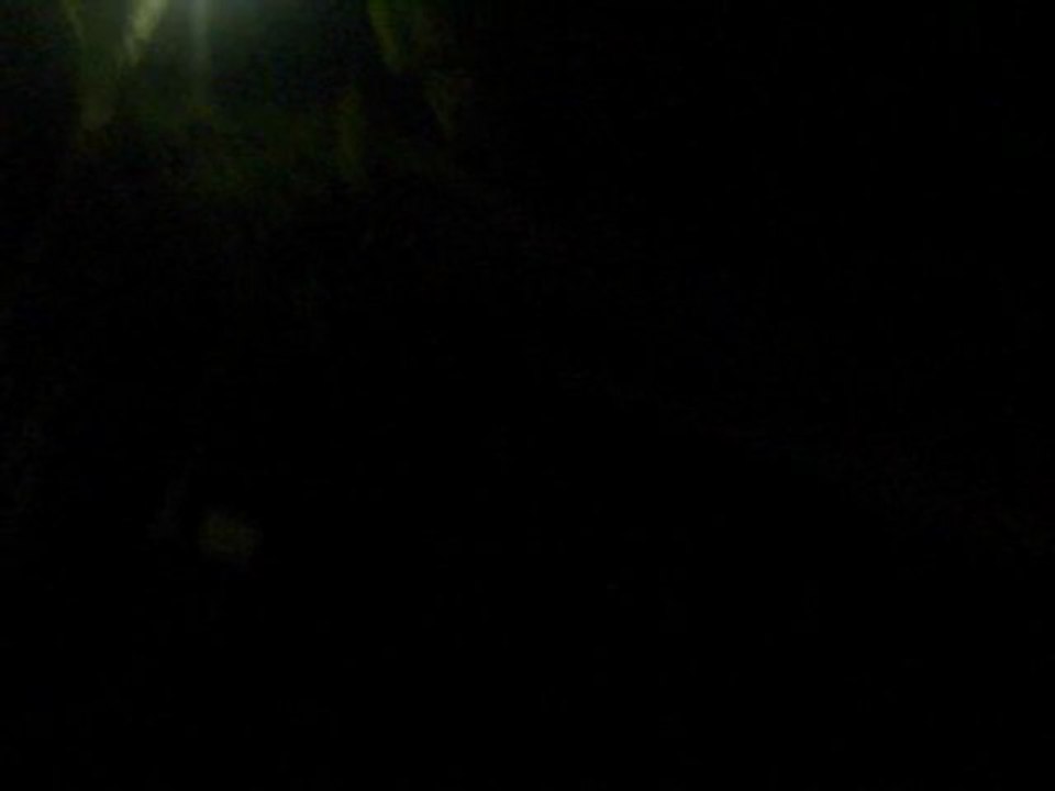 LA NIGHT