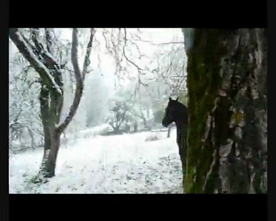 jeuarbre